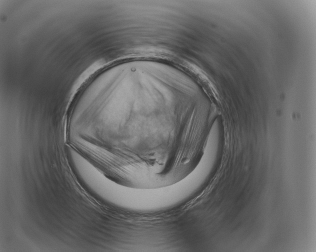 X0000083971275200703161522