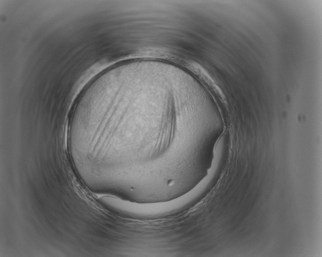 X0000083971276200703161522