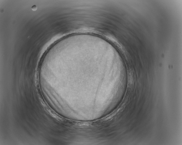 X0000083971278200703161522