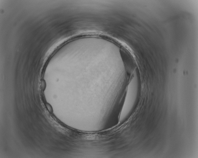 X0000083971279200703161522