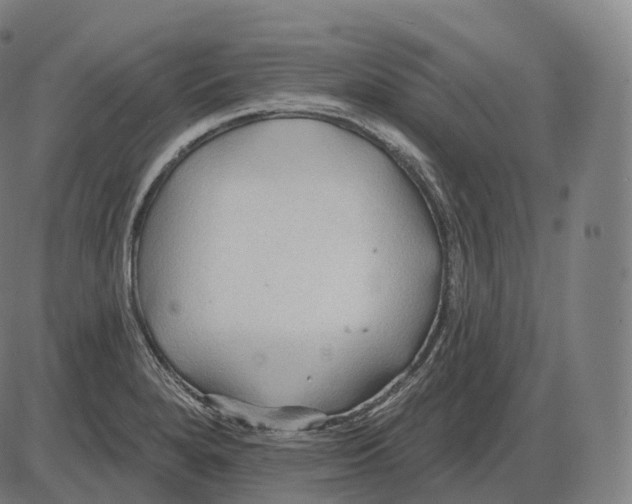 X0000083971280200703161522