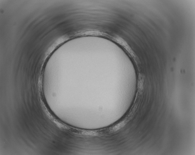 X0000083971282200703161522