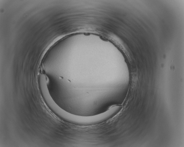 X0000083971284200703161522