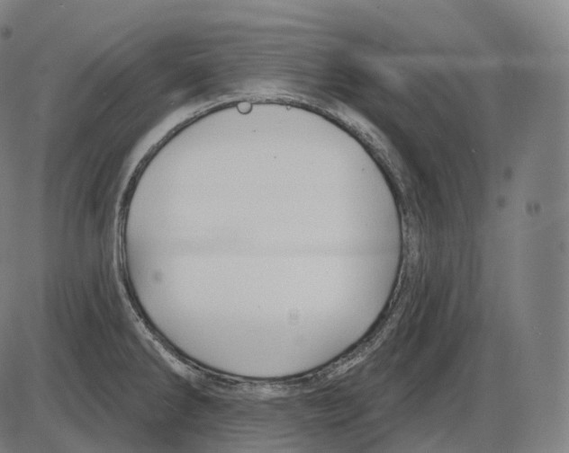 X0000083971286200703161522