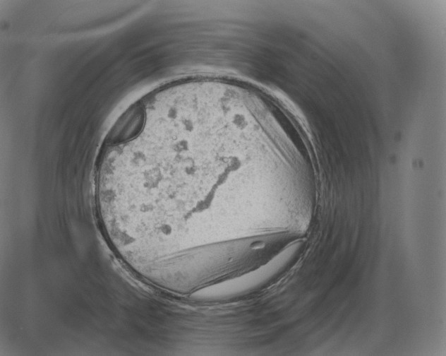 X0000083971287200703161522