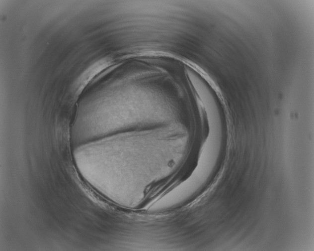 X0000083971289200703161522