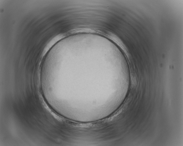 X0000083971290200703161522