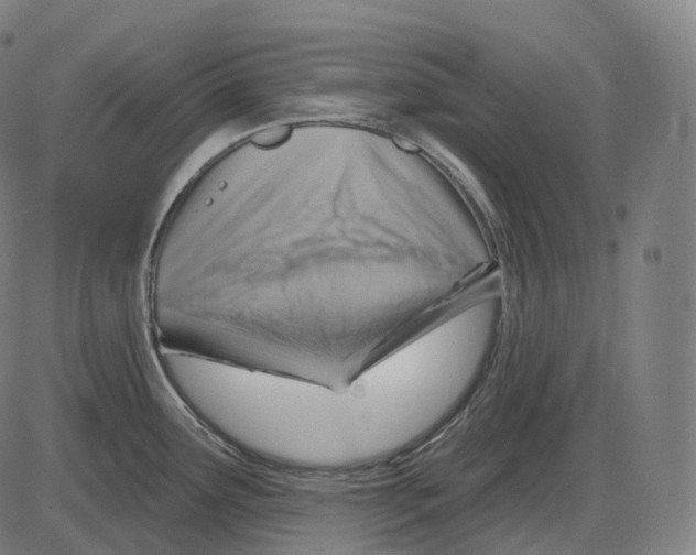 X0000083971291200703161522