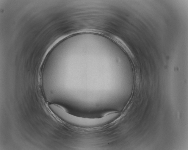 X0000083971292200703161522