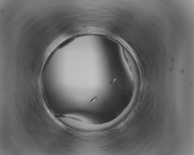 X0000083971293200703161521