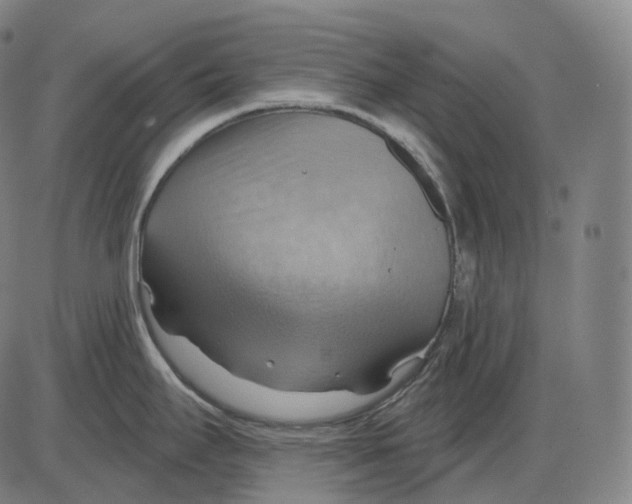 X0000083971295200703161521