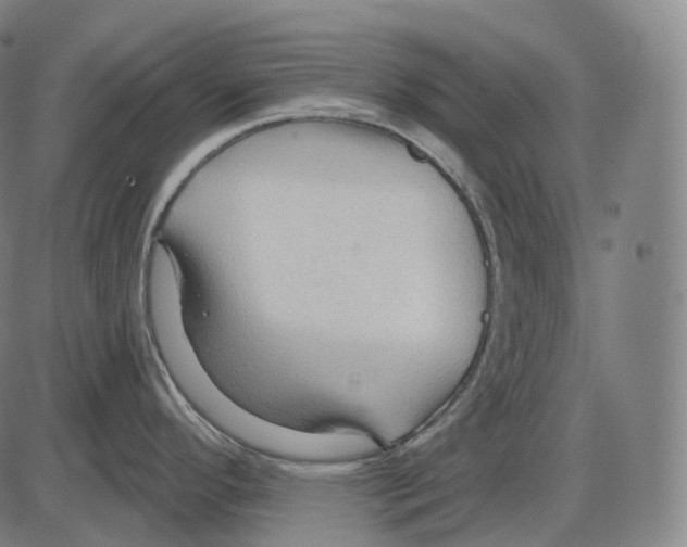 X0000083971296200703161521