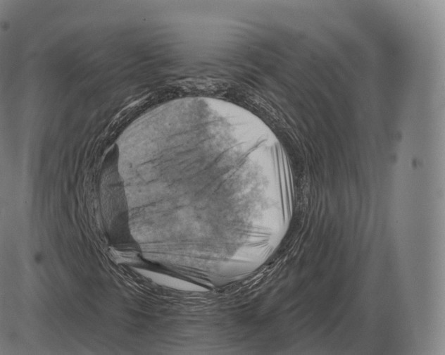 X0000083971297200703161521