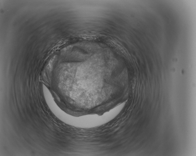 X0000083971298200703161521