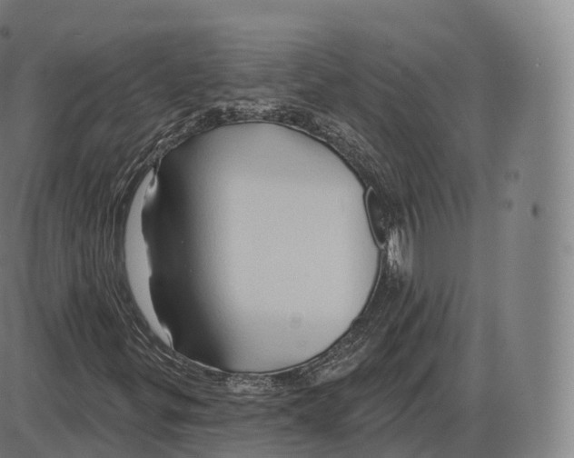 X0000083971299200703161521