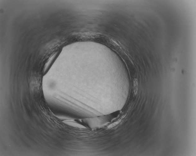 X0000083971300200703161521