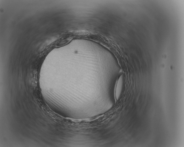 X0000083971301200703161521