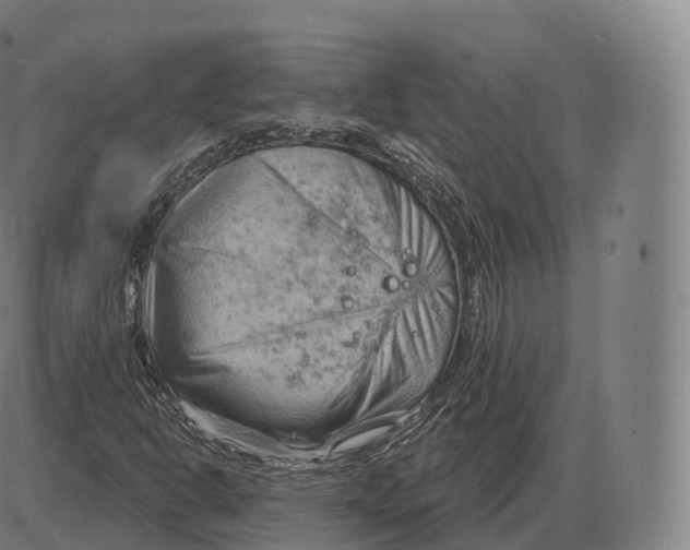 X0000083971302200703161521