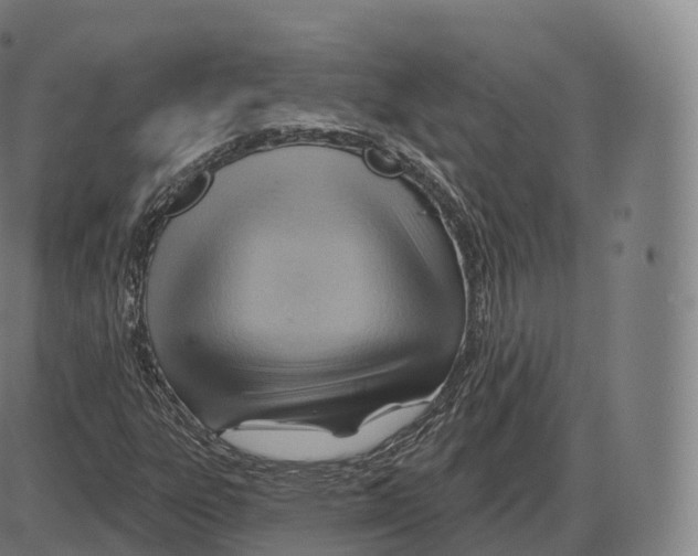 X0000083971303200703161521