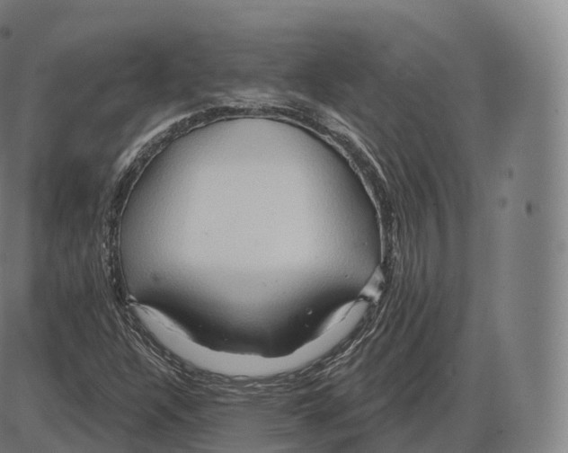 X0000083971304200703161521