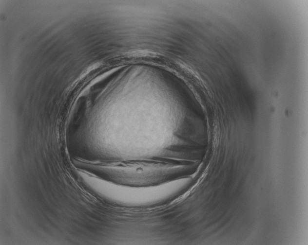 X0000083971305200703161521