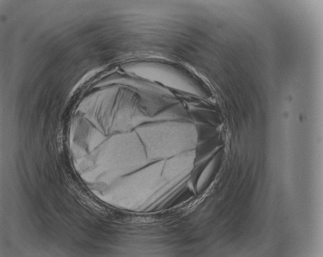 X0000083971306200703161521