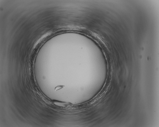 X0000083971307200703161521