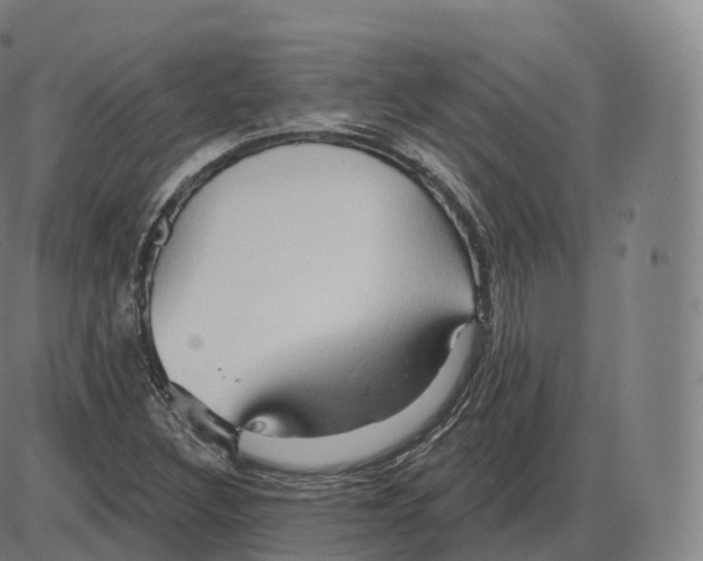 X0000083971308200703161521