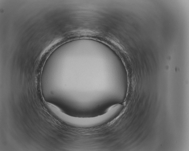 X0000083971309200703161521