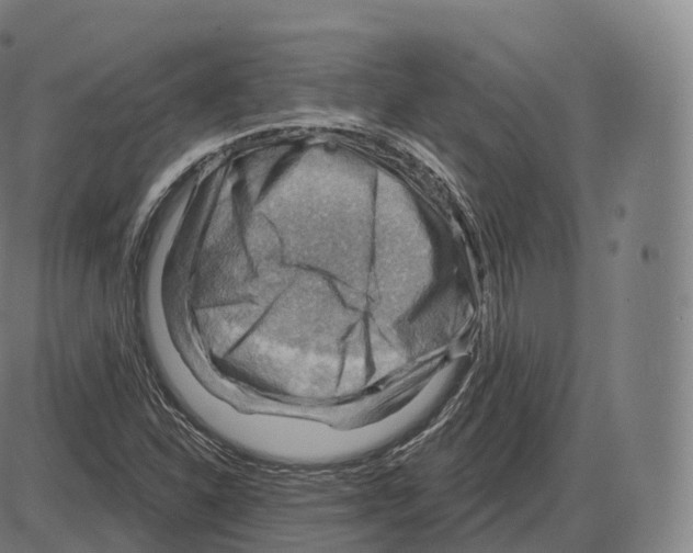 X0000083971310200703161521