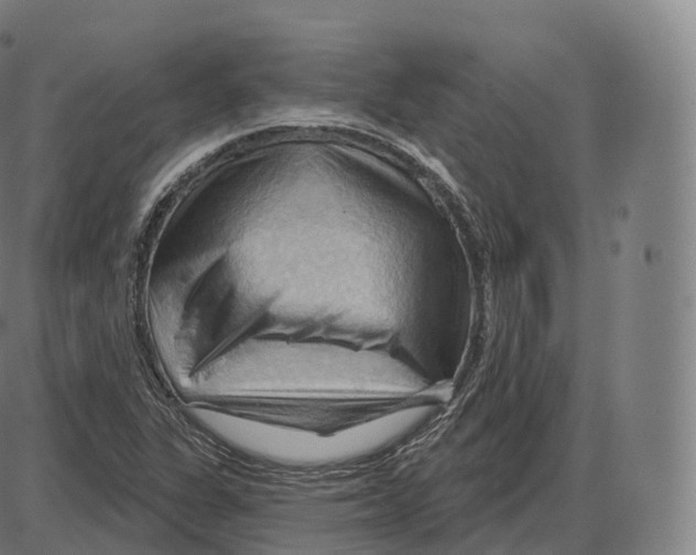 X0000083971311200703161521