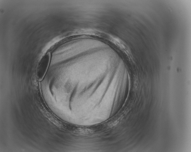 X0000083971312200703161521