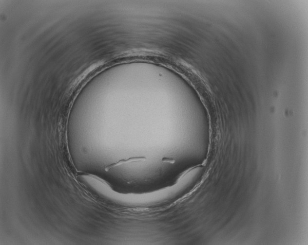 X0000083971313200703161521