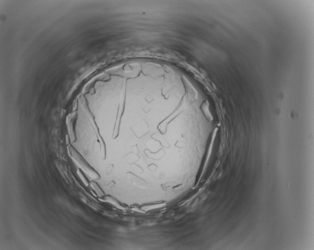 X0000083971314200703161521