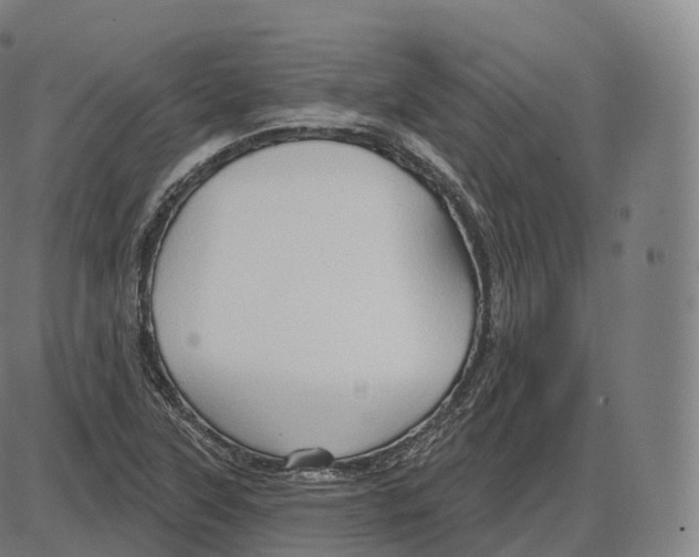 X0000083971315200703161521