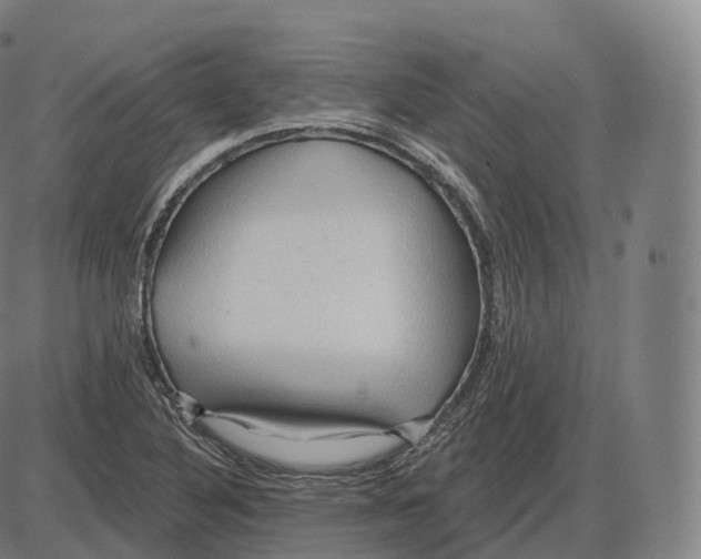 X0000083971316200703161521