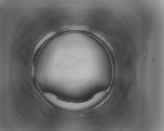 X0000083971317200703161521