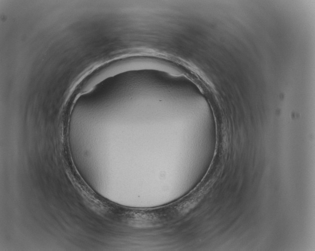 X0000083971318200703161521