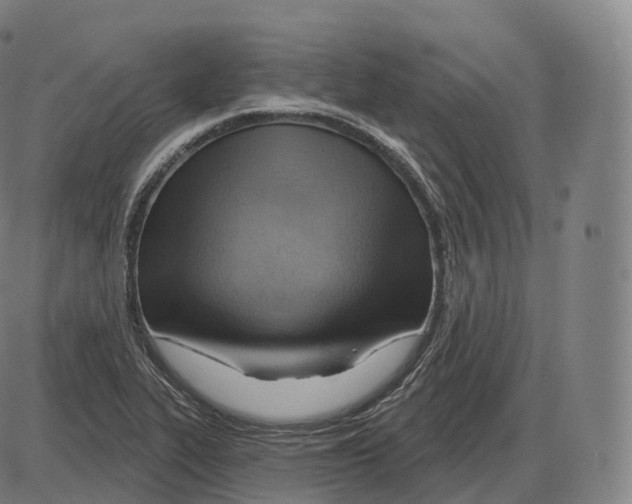 X0000083971319200703161521