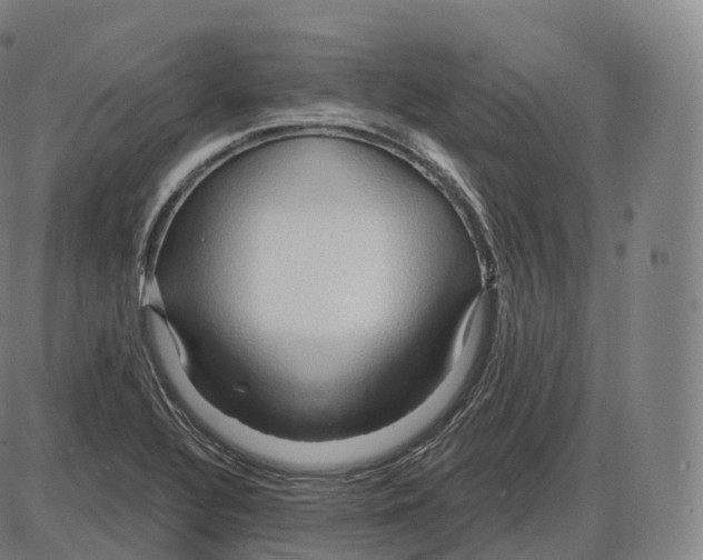 X0000083971320200703161521