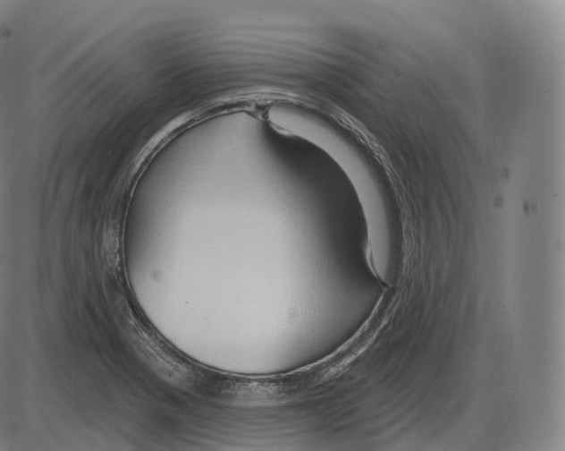 X0000083971321200703161521