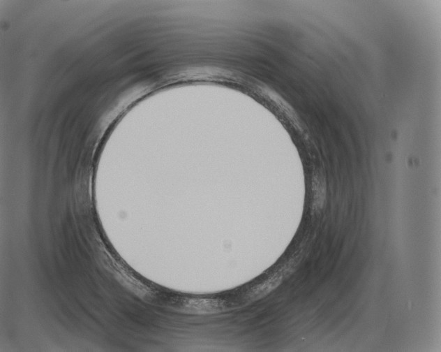 X0000083971322200703161521