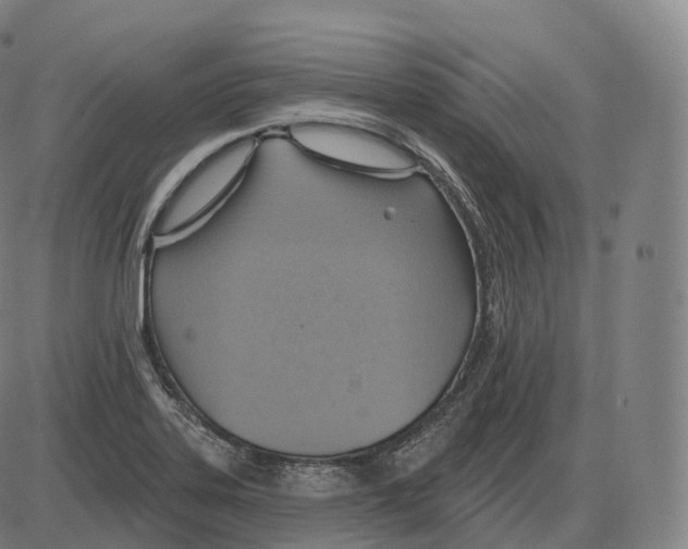 X0000083971323200703161521