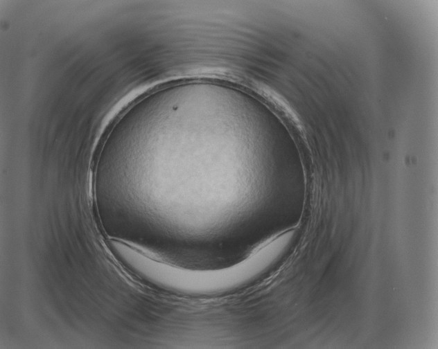 X0000083971324200703161521