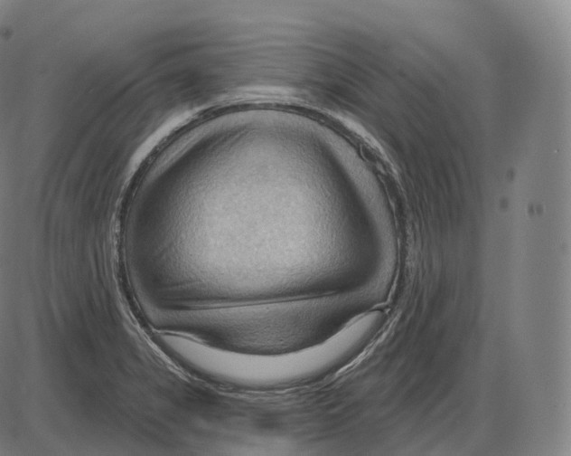 X0000083971325200703161521