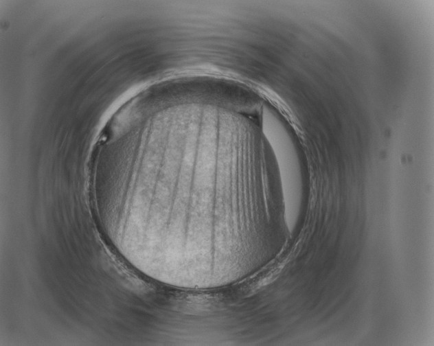 X0000083971326200703161521