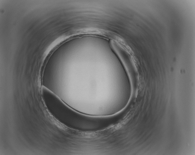 X0000083971328200703161521