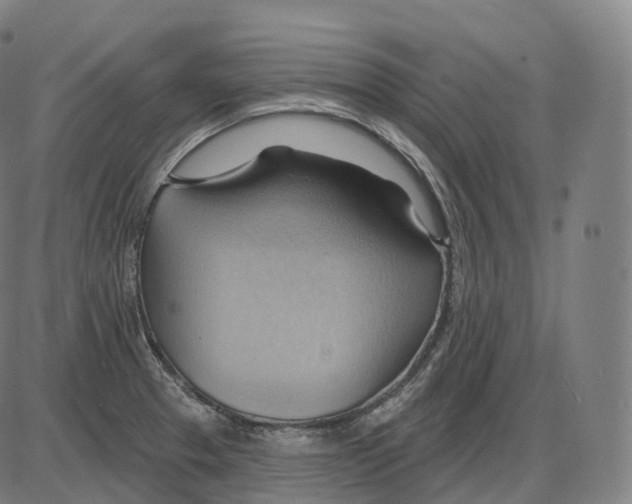 X0000083971329200703161521