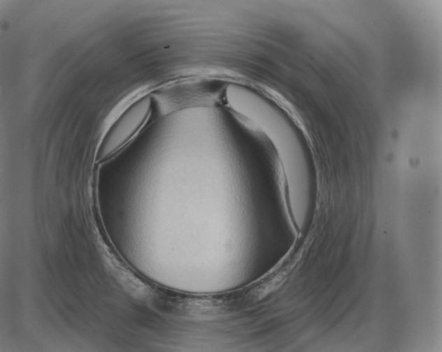 X0000083971330200703161521