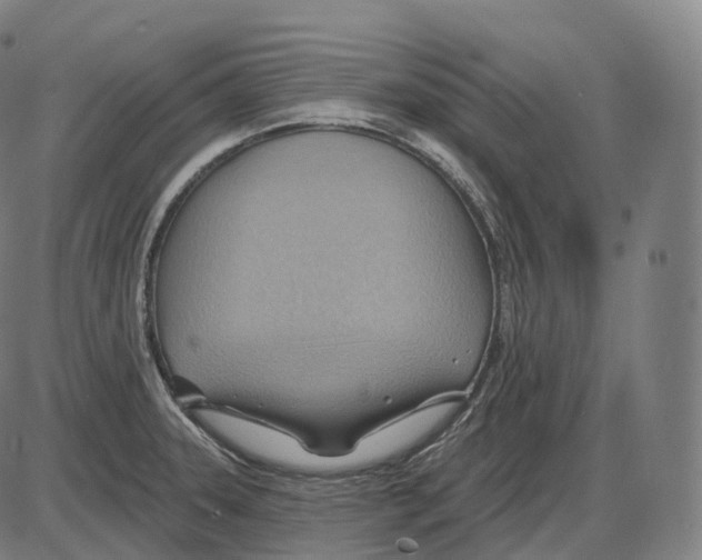 X0000083971331200703161521